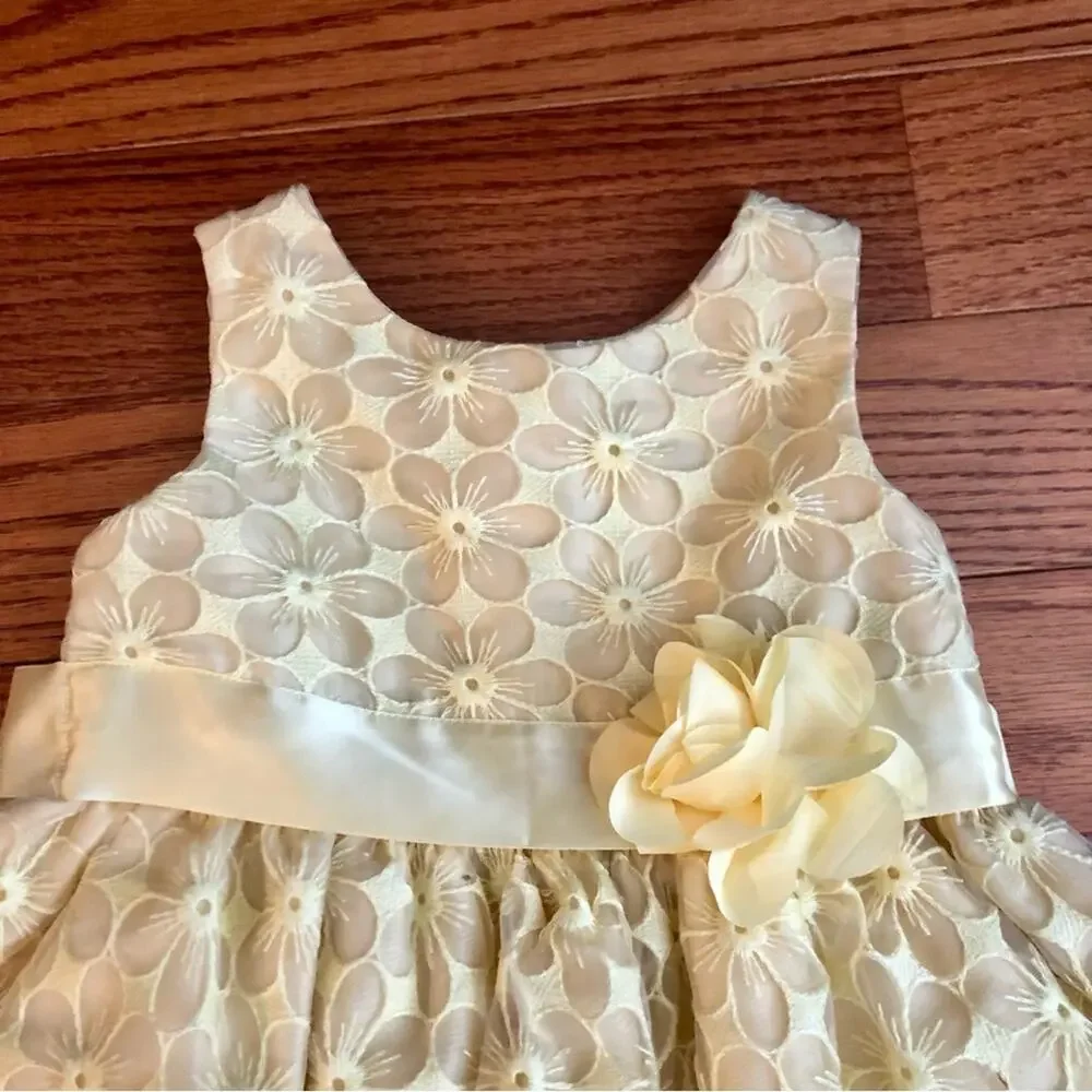 Youngland A-Line Embroidered Tulle Flower Aplique Sash Yellow Toddler Size 3